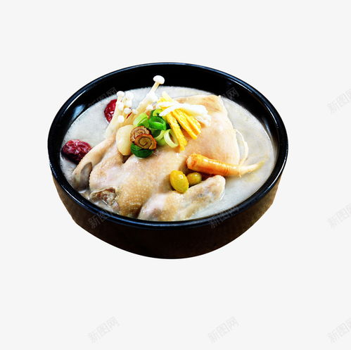 美食設(shè)計(jì)新焦點(diǎn) 老母雞湯免摳PNG素材，賦能餐飲與電商創(chuàng)意